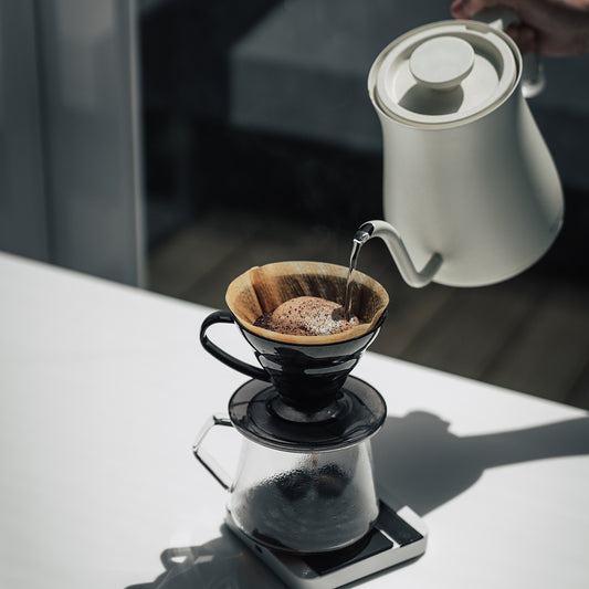 北極星藝伎 GEISHA